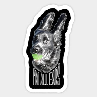 I'm all ears funny black working cocker spaniel dog on black Sticker